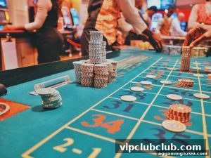 AG真人 vipclubclub