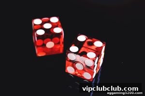 AG真人 vipclubclub